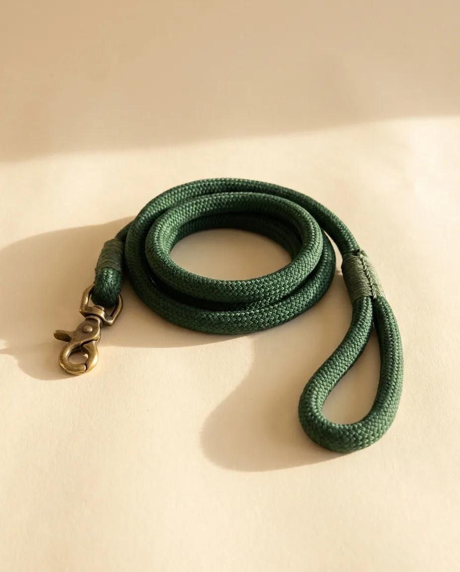 A coiled green rope lead with a brass clip