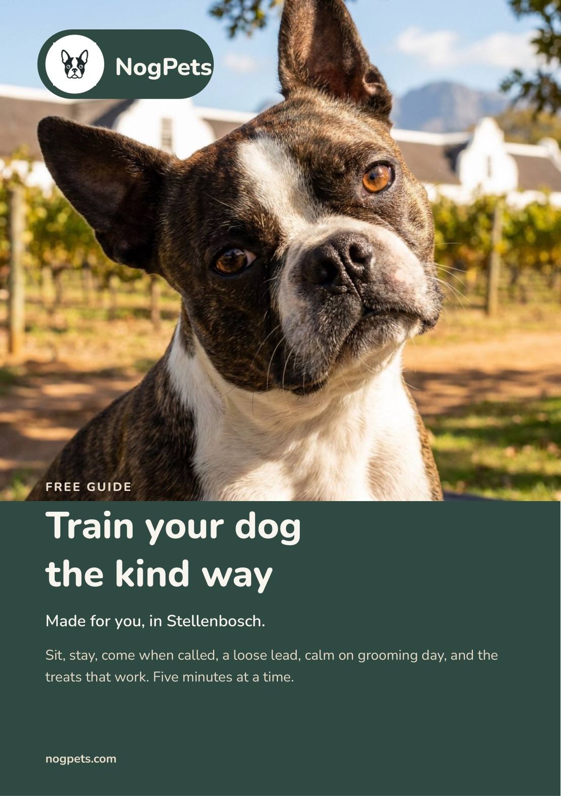 The cover of the NogPets training guide: a Boston terrier, and the title Train your dog the kind way.